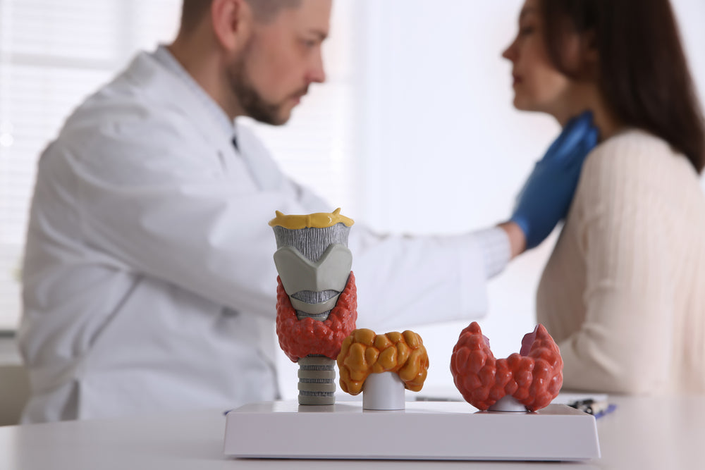 What Your Thyroid Hormone Levels Mean