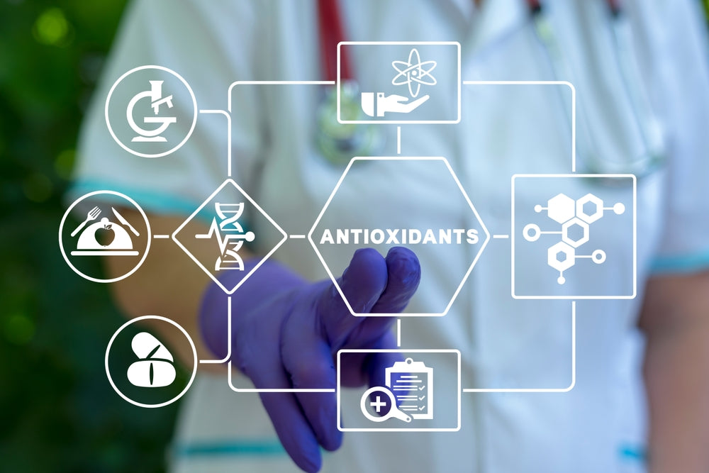 What Are Antioxidants?