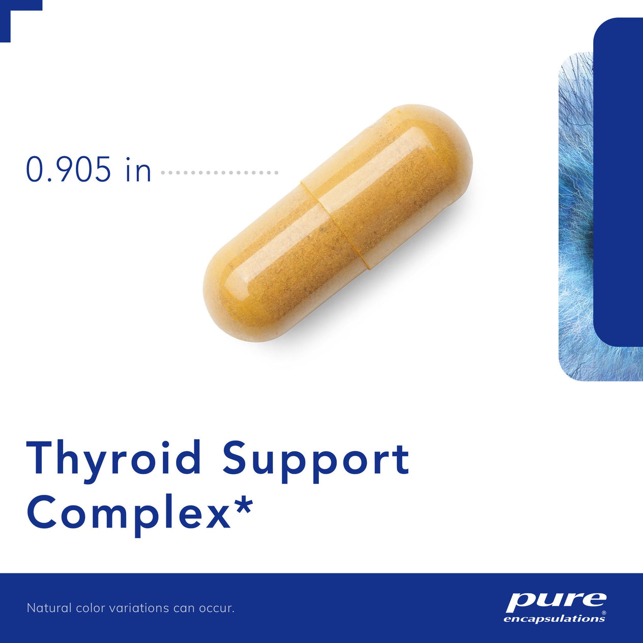 Thyroid Support Complex